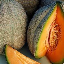 Pike Cantaloupe Melon Cantaloupe And Melon Cantaloupe Melon