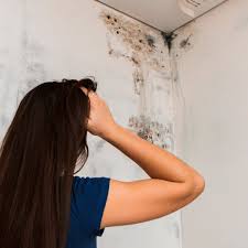 How To Clean Black Spots In The Bathroom Cleaning Mold Mold In Bathroom Cleaning Hacks