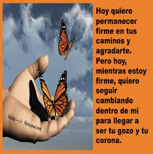 De Oruga A Mariposa Palabra De Vida Te Amo Como Eres Devocional