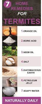 How To Get Rid Of Termites Naturally Diy Termites Control Termite Control Termite Treatment Termites
