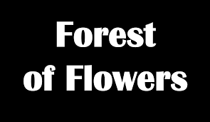 685 fischer hallman rd, kitchener, on canada n2e 4e9. Kitchener Florist Flower Delivery By Forest Of Flowers