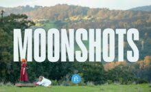 Portal A Brings In Branded Content Veteran Todd Barrish As Head Of Revenue  And Growth