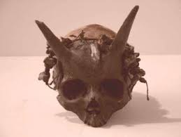 They belonged to men that had been seven feet tall. Horned Human It S Something Wiki Fandom