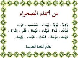 السقدود البيه من أسماء الصحراء Facebook