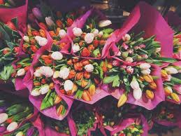 Maybe you would like to learn more about one of these? 11 Best Florists In Buffalo Ny Healthy Helper