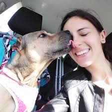 THE BEST 10 ANIMAL SHELTERS in WARREN, CT