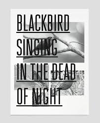 Blackbird Singing In The Dead Of Night Lyrics And Chords Buamai Blackbird Trend List Black Bird Bird Song Lyrics Black Bird Tattoo