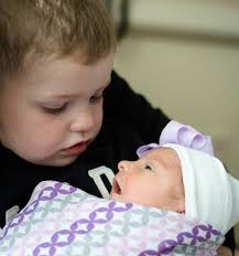 Cindy Henderson Photography