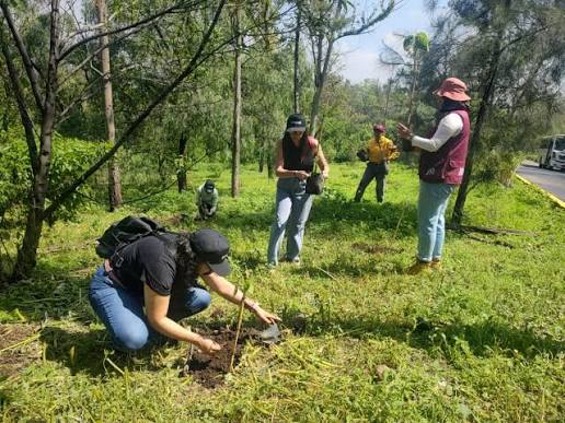 Invita Sedema a Jornadas Verdes en Cerro de la Estrella