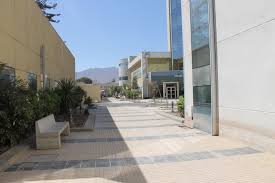 Tribunsumselcom game words of wonders wow merupakan salah satu game teka teki silang yang sangat populer. Jawapan Wow Gurun Atacama 5 Vps Hosting News