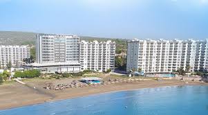 Image result for Liparis