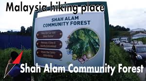 D'network @ setia eco park. Malaysia Hiking Place Setia Alam Community Forest Youtube