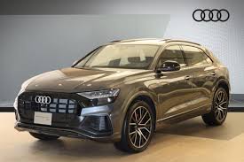 Image result for Daytona Gray 2023 Q8