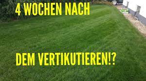 Nach dem vertikutieren ist eine rasendüngung absolut notwendig. Rasen Vertikutieren Anleitung Wie Wann Und Warum