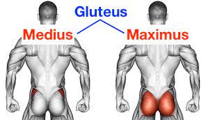 Die versöhnung zu besiegeln 17.act 1. á…á…á… Gluteus Maximus Trainieren Zu Hause Fur Manner