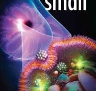 Looking for scientific cover art? Check our vivid and ...