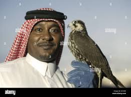 Man hunting falcon immagini e fotografie stock ad alta risoluzione