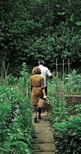 She Grows It He Cooks It When Alys Fowler Met Yotam Ottolenghi Potager Garden Edible Garden Veg Garden