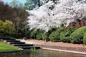 Glencairn Gardens Rock Hill Sc Love The White Rock Hill Rock Garden Carolina Girl