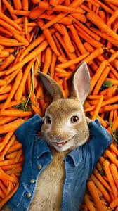 Witziges Osterbild 2019 2020 Osterbild Ostergrusse Osterkarte Ostermontag Ostersonntag Oste Funny Easter Pictures Easter Bunny Pictures Easter Pictures