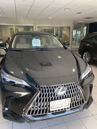 Image result for Caviar 2018 NX