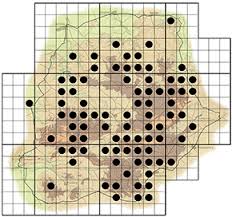 Image result for Strychnos pungens