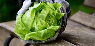 Aquellos alimentos que contienen vitamina k ingresan al organismo como vitamina k1. Vitamina K Doze Recomandate Èi Rol In Organism Cancer360