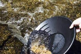 Gold Panning Instructions Learn How To Pan For Gold Panning For Gold Gold Mining Gold Prospecting