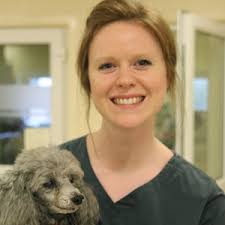 Passionate and Friendly Dundee Vet Practice