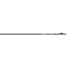 beman arrows amazon com