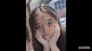 BEST OF REANIMALS GALLERY