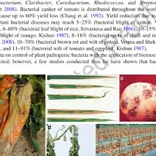 Vesicatoria, is the most common and destructive disease potatoes are attacked by numerous pests and diseases in the farmer fields with high potential to cause low to high yield losses. 3 Symptoms Of Some Common Plant Diseases Caused By Bacteria A Soft Download Scientific Diagram