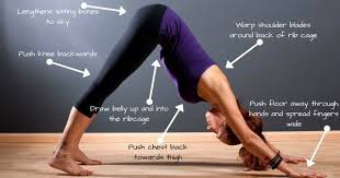 Pin On Beauty And Health