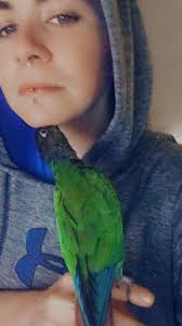 Feather hair clips used for non-hair purposes