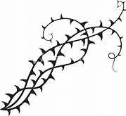 Black And White Vines Clipart Pinterest Thorn Vine Clipart Yahoo Image Search Results Clip Art Home Decor Decals Image