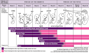 Medical Home Portal Fetal Alcohol Spectrum Disorders