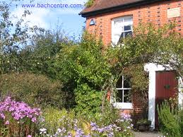 Check spelling or type a new query. Bach Flower Remedies For Children Virtuosity Biomagnetic Healing With Hands