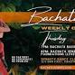 Journey Into Bachata- Thursday Lessons