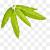 Mango Leaves Thoranam Png
