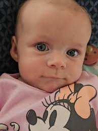 Nicole Spoerl Sargen (@nicole88s)