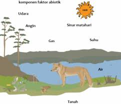 Abiotik dan biotik tidak dapat dipisahkan. Dibawah Ini Yang Bukan Merupakan Komponen Abiotik Adalah Blog Pak Pandani
