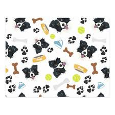 Smiling Dog Border Collie Postcard Zazzle Com Border Collie Dog Smiling Dogs Border Collie