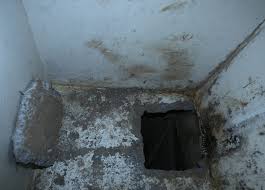 The tunnel that mexican authorities believe drug lord joaquin el chapo guzman used to escape from a maximum security prison likely cost millions of but $5 million to el chapo would be like $5 to you or i. guzman was sent to altiplano, 50 miles west of mexico city, more than a year ago, and vigil. 1 Million Price Tag Hinted At In El Chapo S Escape The New York Times