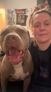 Tell me who #bailey #cute