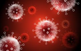 We managed to pick her (the nurse) up through being a contact. The University Of Queensland Reports Positive Findings On Covid 19 Vaccine