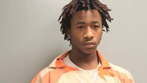 Wardville suspect takes plea; 2nd undergoes sanity commission