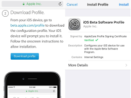 From the left side of the screen, click the details button. How To Download And Install Ios 10 Beta On Iphone Ipad Or Ipod Touch Ndtv Gadgets 360