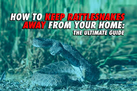 We are surrounded by dozens of crawling reptiles which can be venomous or safe for humans. How To Keep Snakes Away From Your Home The Ultimate Guide Rattlesnake Solutions