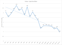 Something Wild Nh Fisher Numbers Are Down But Why New