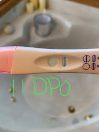 The white discharge can i be pregnant?: Cm After Conception Trying To Conceive Forums What To Expect